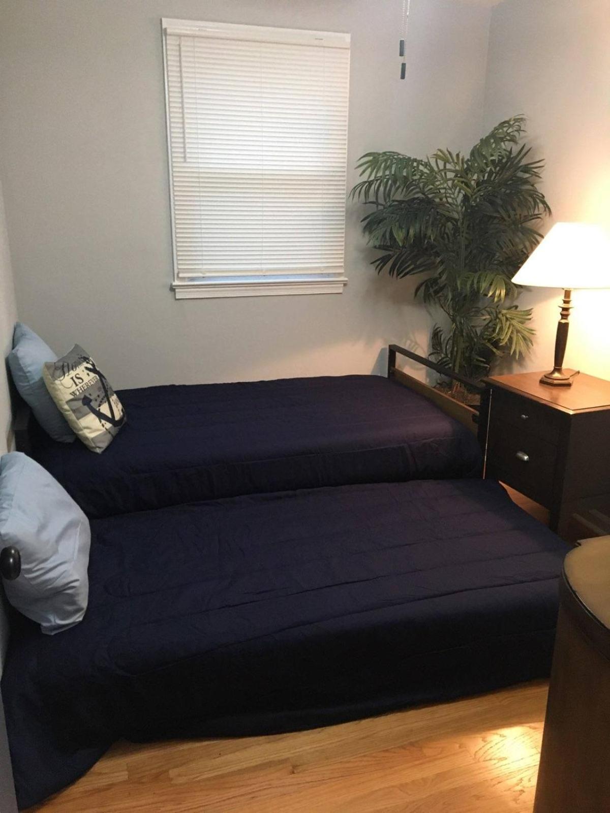 Fantastic 3Br Close To Botanical Gardens And Airport ノーフォーク エクステリア 写真