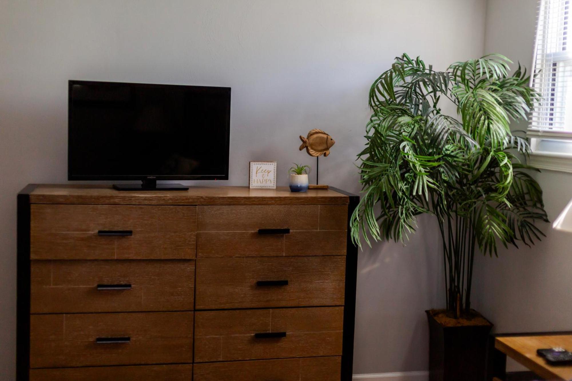 Fantastic 3Br Close To Botanical Gardens And Airport ノーフォーク エクステリア 写真
