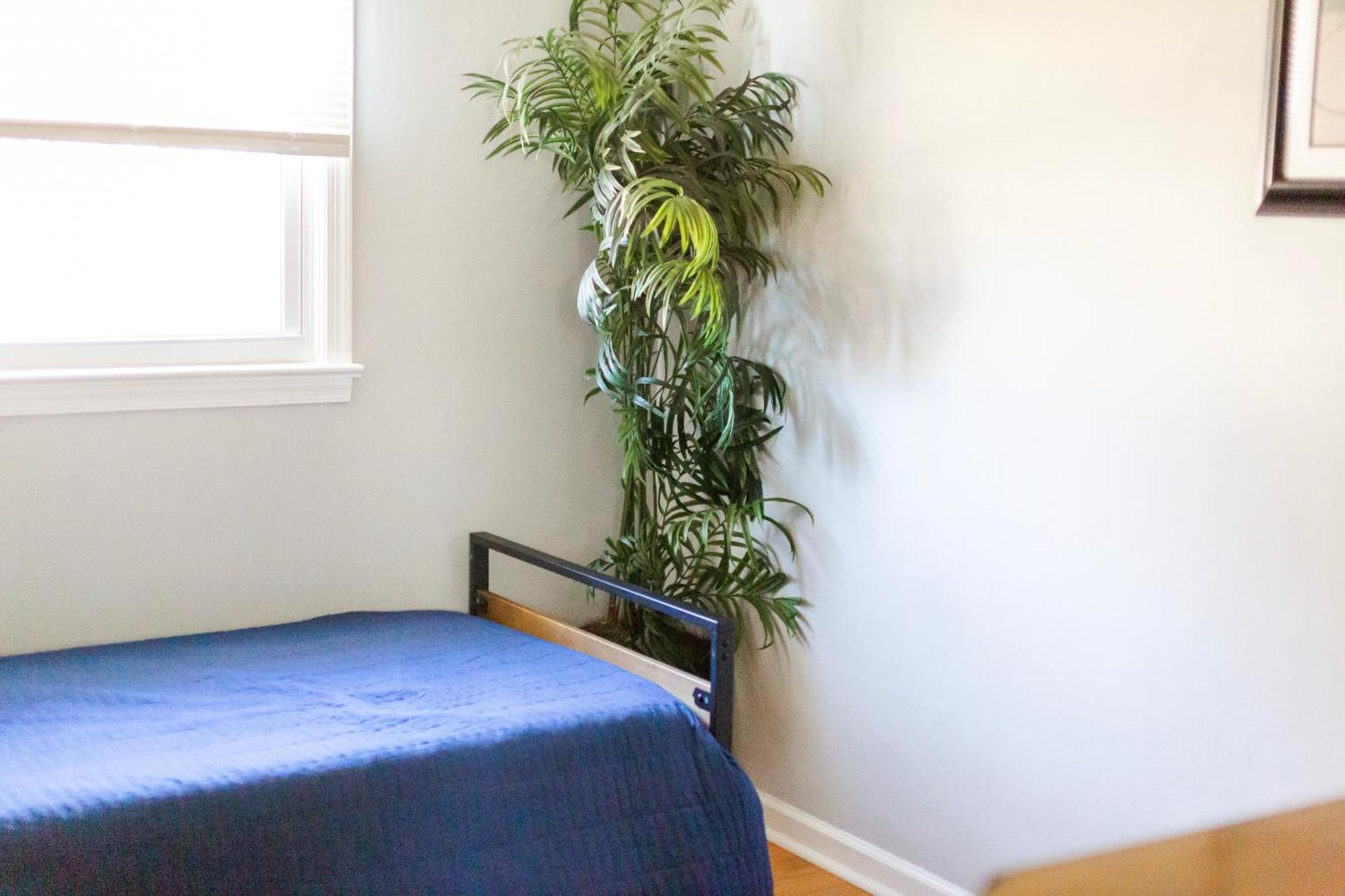 Fantastic 3Br Close To Botanical Gardens And Airport ノーフォーク エクステリア 写真