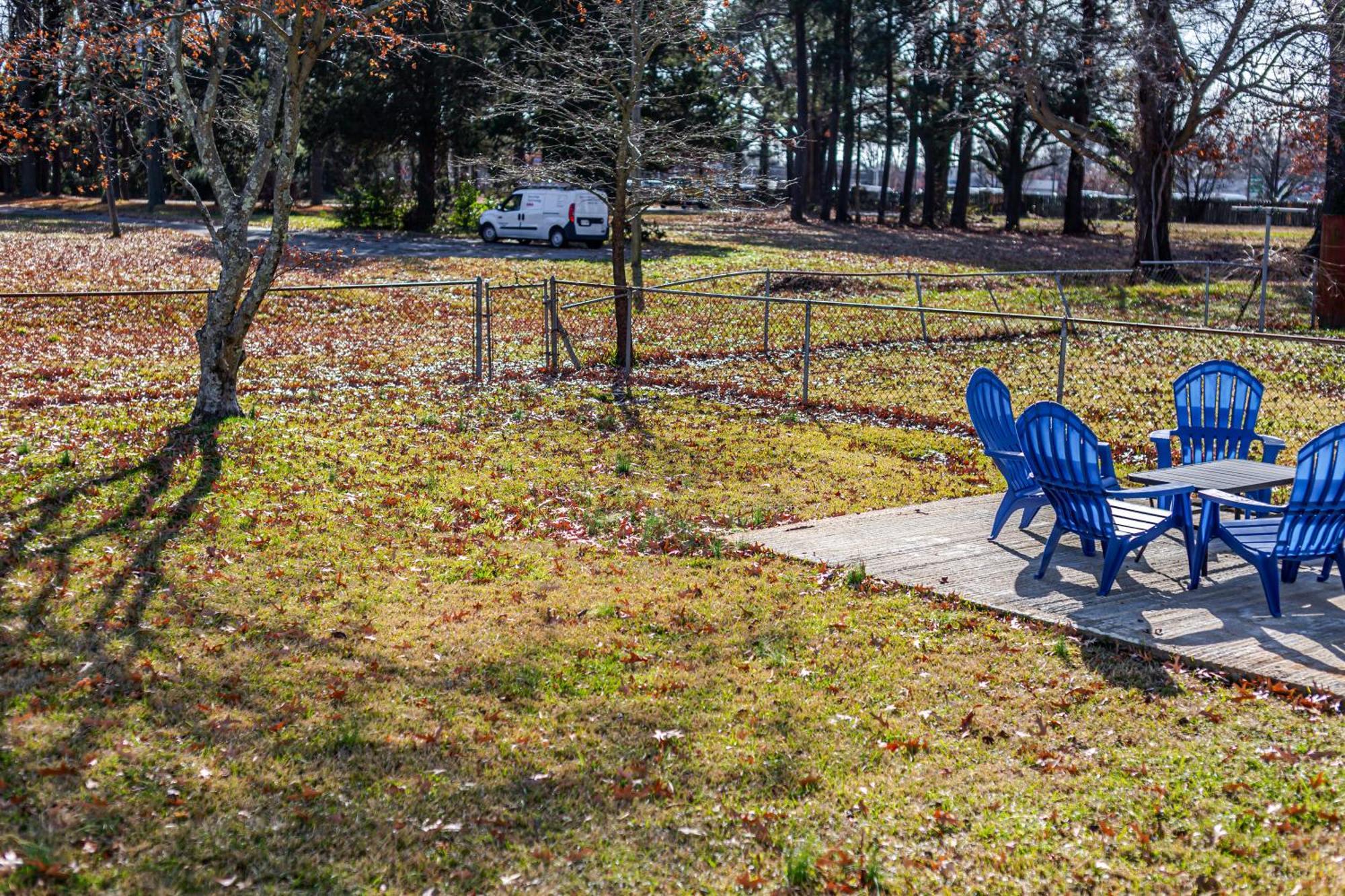 Fantastic 3Br Close To Botanical Gardens And Airport ノーフォーク エクステリア 写真