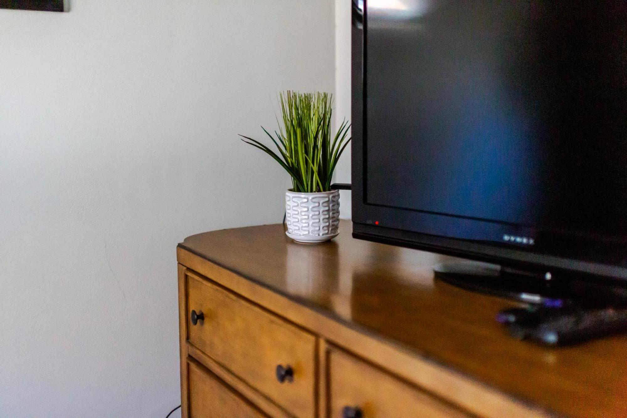 Fantastic 3Br Close To Botanical Gardens And Airport ノーフォーク エクステリア 写真