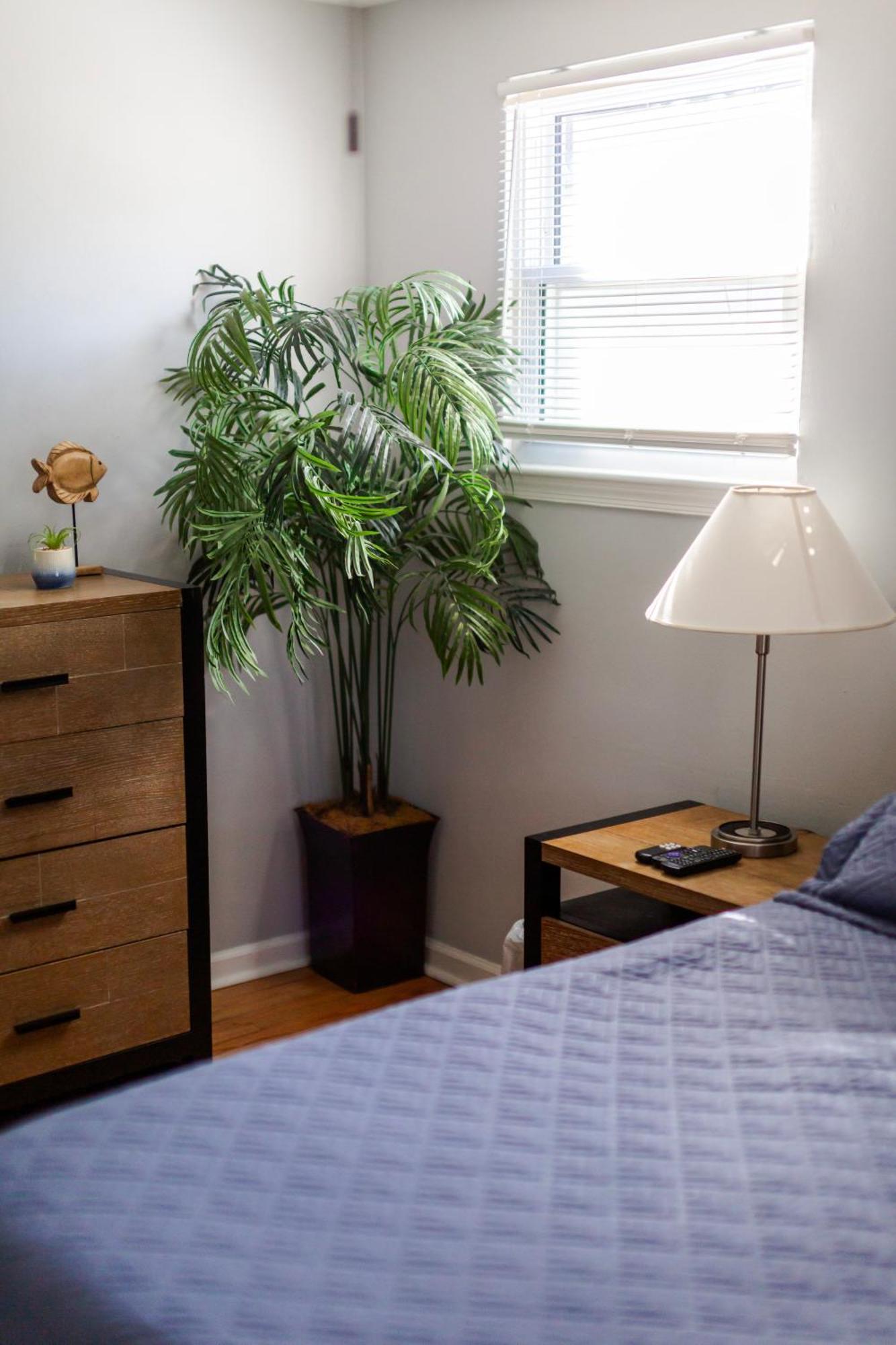 Fantastic 3Br Close To Botanical Gardens And Airport ノーフォーク エクステリア 写真
