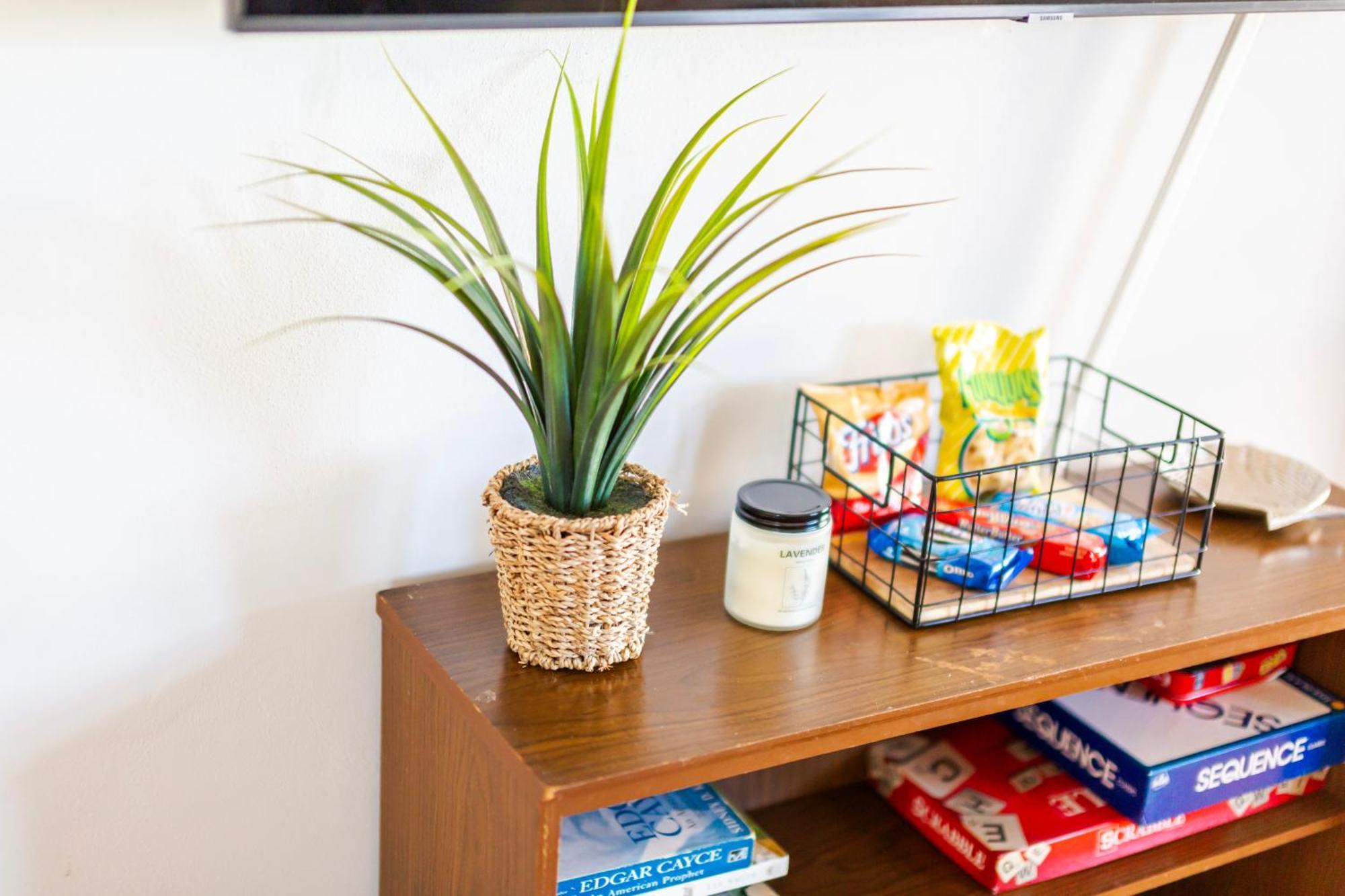 Fantastic 3Br Close To Botanical Gardens And Airport ノーフォーク エクステリア 写真