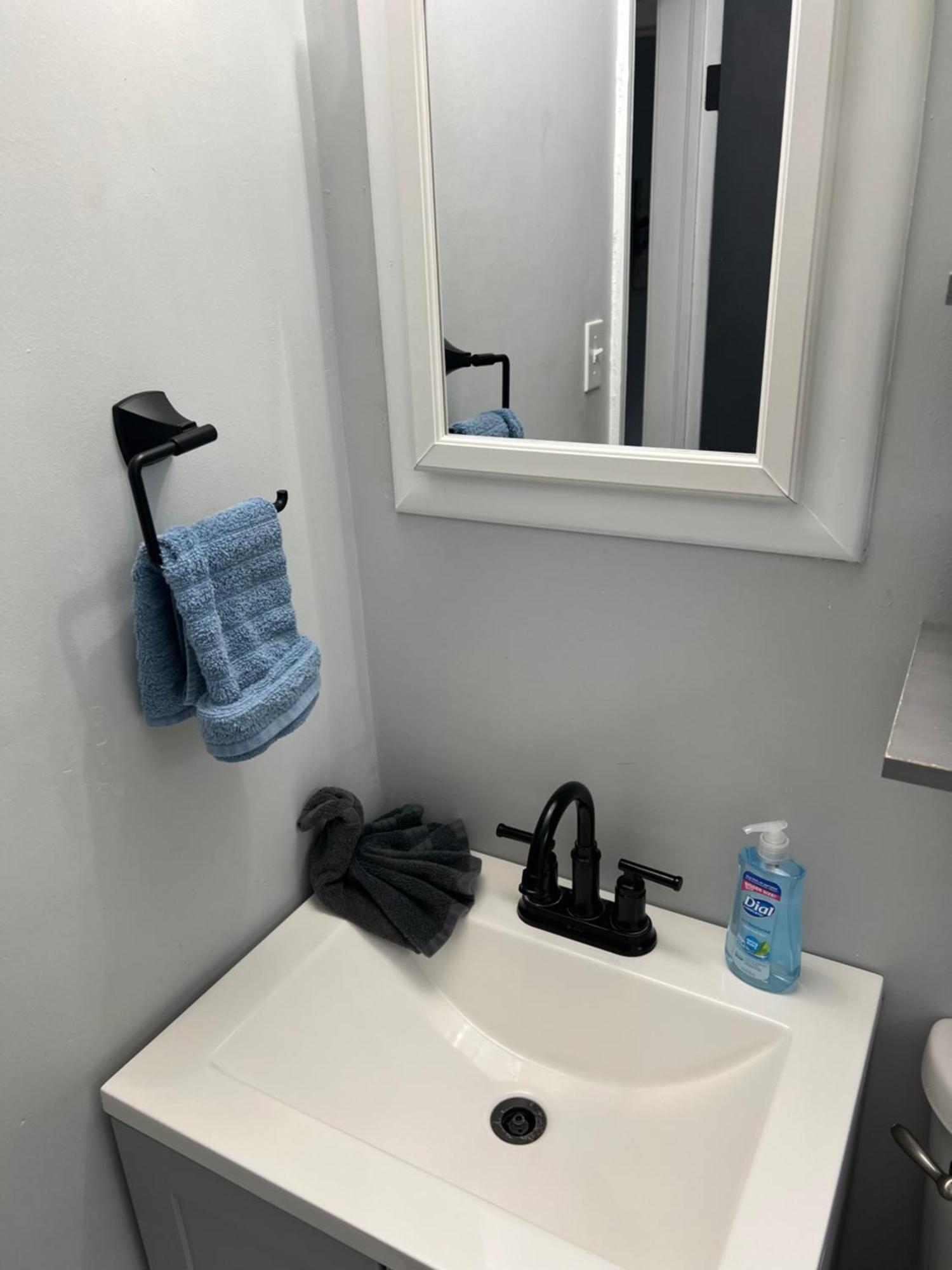 Fantastic 3Br Close To Botanical Gardens And Airport ノーフォーク エクステリア 写真