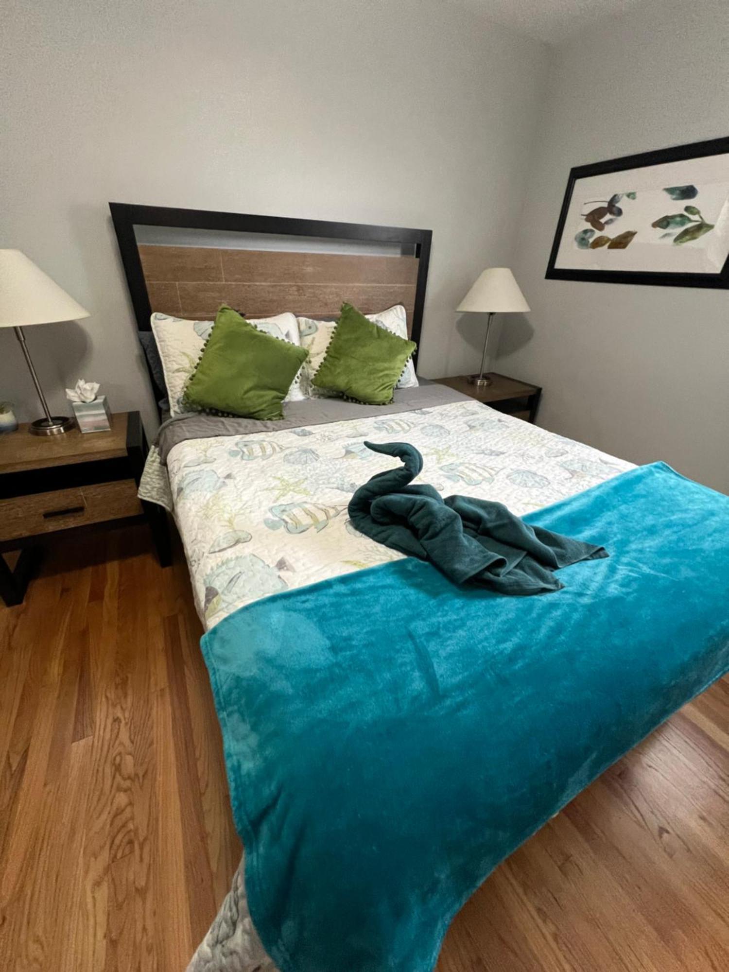 Fantastic 3Br Close To Botanical Gardens And Airport ノーフォーク エクステリア 写真